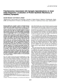 Polyribosomes Associated with Synaptic Specializations on Axon Initial Segments: Localization of Protein-Synthetic Machinery at Inhibitory Synapses