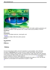 What Is Biomimicry?