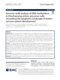 Genome-Wide Analysis of DNA Methylation In