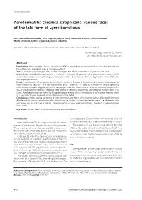 Acrodermatitis Chronica Atrophicans: Various Faces of the Late Form of Lyme Borreliosis