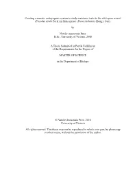 Creating a Somatic Embryogenic System to Study Resistance Traits to the White Pine Weevil (Pissodes Strobi Peck.) in Sitka Spruce (Picea Sitchensis (Bong.) Carr)