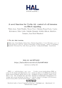 A Novel Function for Cyclin A2: Control of Cell Invasion Via Rhoa Signaling