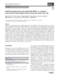 ALDH1A3-Regulated Long Non-Coding RNA NRAD1 Is a Potential Novel Target for Triple-Negative Breast Tumors and Cancer Stem Cells