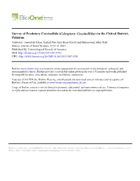 Survey of Predatory Coccinellids (Coleoptera