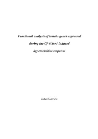 Functional Analysis of Tomato Genes Expressed During the Cf-4/Avr4-Induced Hypersensitive Response Suzan Gabriëls