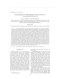 Network Scan Data