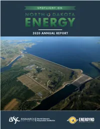 2020 ANNUAL REPORT Table of CONTENTS EDITOR’S COMMENTS