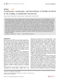 Architecture, Component, and Microbiome of Biofilm Involved In