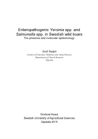 Enteropathogenic Yersinia Spp. and Salmonella Spp. in Swedish Wild Boars the Presence and Molecular Epidemiology