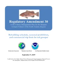 Snapper Grouper Regulatory Amendment 30