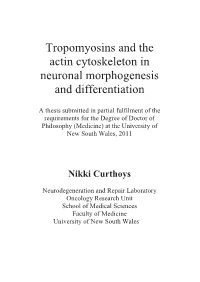 Tropomyosins and the Actin Cytoskeleton in Neuronal Morphogenesis and Differentiation