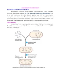 RECOMBINATION in BACTERIA Transfer of Genetic Material In