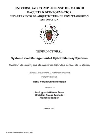 System Level Management of Hybrid Memory Systems