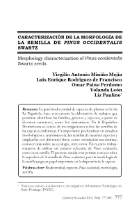 Texto Completo (Pdf)