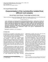 Characterization of the Lactobacillus Isolated from Different Curd Samples
