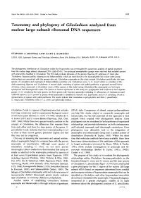 Taxonomy and Phylogeny of Gliocladium Analysed from Nuclear Large Subunit Ribosomal DNA Sequences