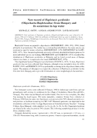 New Record of Haplotaxis Gordioides (Oligochaeta:Haplotaxidae) from Hungary and Its Occurrence in Tap Water