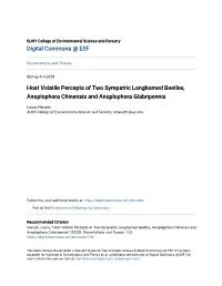 Host Volatile Percepts of Two Sympatric Longhorned Beetles, Anoplophora Chinensis and Anoplophora Glabripennis