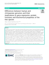 Differences Between Human and Chimpanzee Genomes and Their Implications in Gene Expression, Protein Functions and Biochemical Properties of the Two Species Maria V