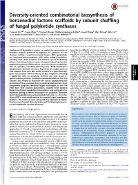 Diversity-Oriented Combinatorial Biosynthesis of Benzenediol Lactone Scaffolds by Subunit Shuffling of Fungal Polyketide Synthases