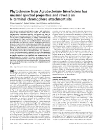 Phytochrome from Agrobacterium Tumefaciens Has Unusual Spectral Properties and Reveals an N-Terminal Chromophore Attachment Site