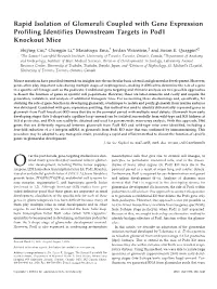 Rapid Isolation of Glomeruli Coupled with Gene Expression Profiling Identifies Downstream Targets in Pod1 Knockout Mice