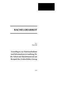 Bachelorarbeit
