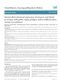Immunohistochemical Expression of Tenascin and Elastin In