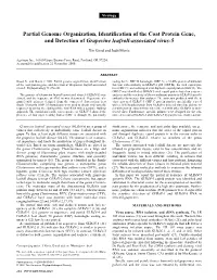 Partial Genome Organization, Identification of the Coat Protein Gene, and Detection of Grapevine Leafroll-Associated Virus-5