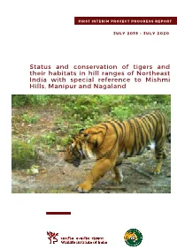 Interim Report GVG.Pdf