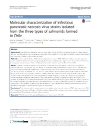 Molecular Characterization of Infectious Pancreatic Necrosis Virus Strains Isolated from the Three Types of Salmonids Farmed in Chile René A