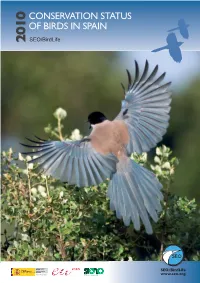 Conservation Status of Birds in Spain