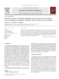 Long-Term Storage of Ascosphaera Aggregata and Ascosphaera Apis, Pathogens of the Leafcutting Bee (Megachile Rotundata) and the Honey Bee (Apis Mellifera)