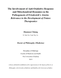 The Involvement of Anti-Oxidative Response and Mitochondrial Dynamics in the Pathogenesis of Friedreich's Ataxia: Relevance T