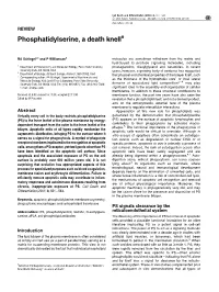 Phosphatidylserine, a Death Knell