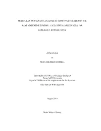 The Development and Improvement Of