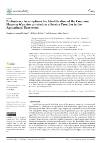 Preliminary Assumptions for Identification of the Common Hamster