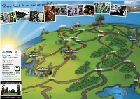 There's Loads to See and Do Right Here!