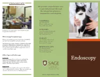 ENDOSCOPY We Provide Comprehensive Care to You and Your Pet Through the Integration of Science, Compassion, and Integrity