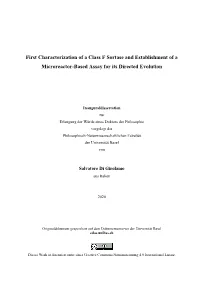 First Characterization of a Class F Sortase and Establishment of a Microreactor-Based Assay for Its Directed Evolution