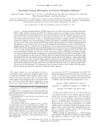Swiveling Domain Mechanism in Pyruvate Phosphate Dikinase†,‡ Kap Lim,§ Randy J