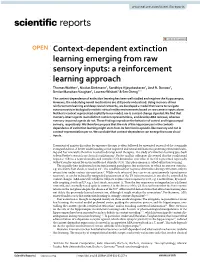 Context-Dependent Extinction Learning Emerging from Raw