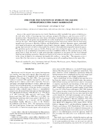 Structure and Function of Spores in the Aquatic Heterosporous Fern Family Marsileaceae