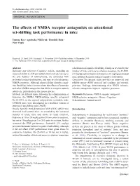 The Effects of NMDA Receptor Antagonists on Attentional Set-Shifting Task Performance in Mice