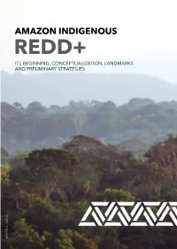 Amazon Indigenous Redd+