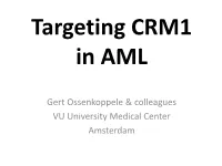 Targeting CRM1 in AML (Presented at ESH – Budapest)