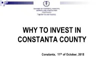 Why to Invest in Constanta County