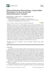 Arming Filamentous Bacteriophage, a Nature-Made Nanoparticle, for New Vaccine and Immunotherapeutic Strategies