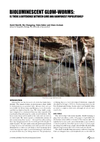 Bioluminescent Glow-Worms: Is There a Difference Between Cave and Rainforest Populations?