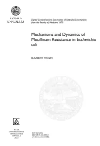 Mechanisms and Dynamics of Mecillinam Resistance in Escherichia Coli
